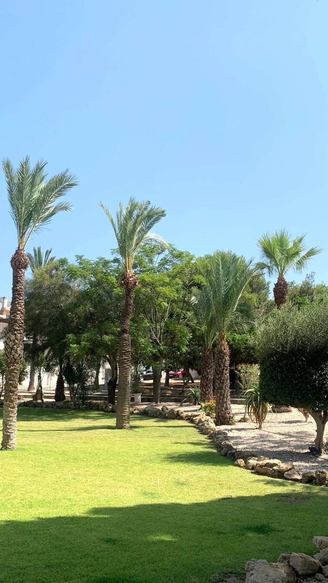 Lagovista45 Torrevieja Extérieur photo