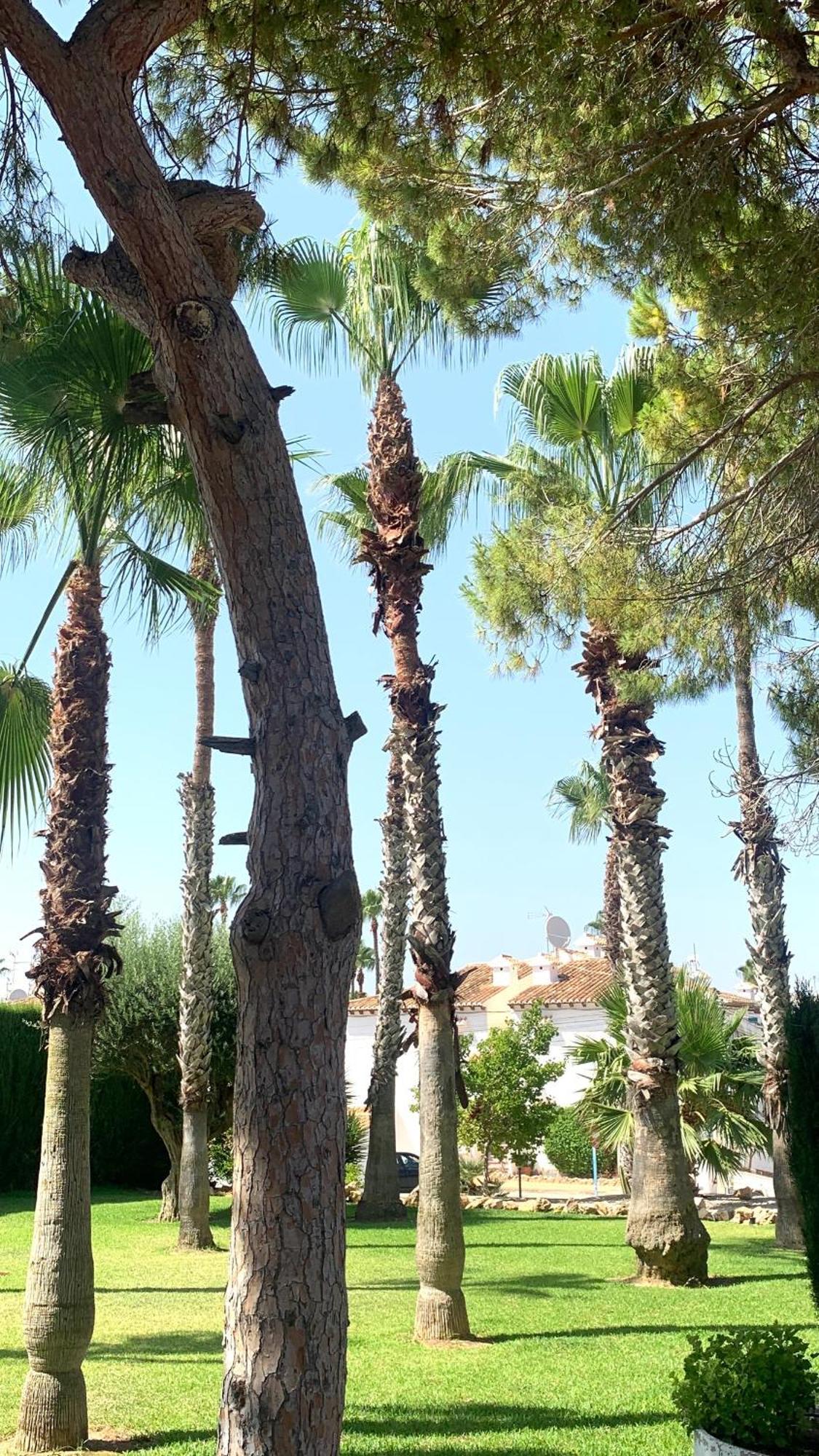Lagovista45 Torrevieja Extérieur photo